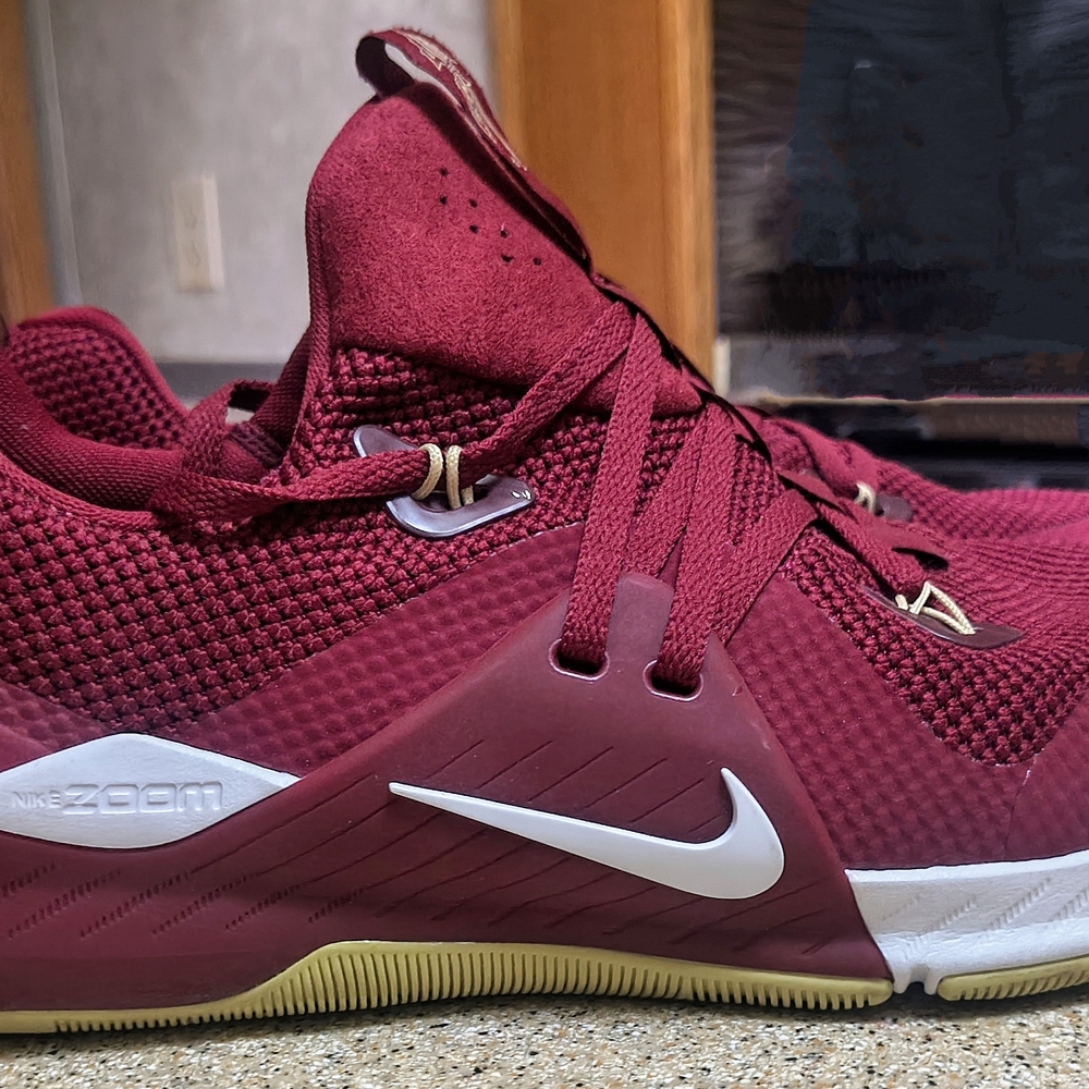 Nike Zoom - FSU Seminoles - Garnet & Gold Athletic Shoes, Men's Size 10 - Picture 2 of 10